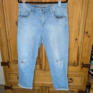 Universal Thread Ankle Cropped Jeans